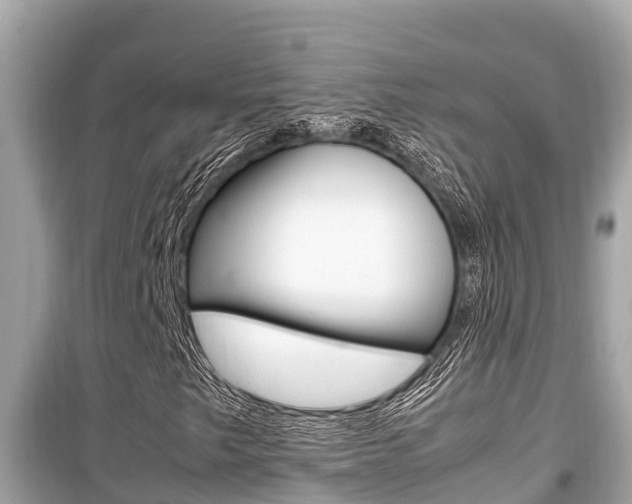 X0000099941249200805231013