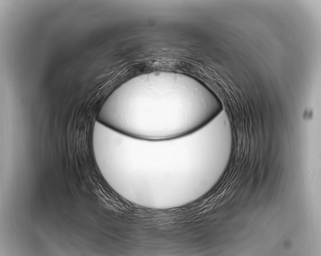 X0000099941250200805231013