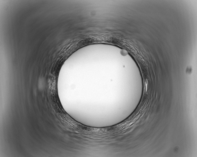 X0000099941251200805231013