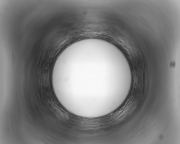 X0000099941252200805231013