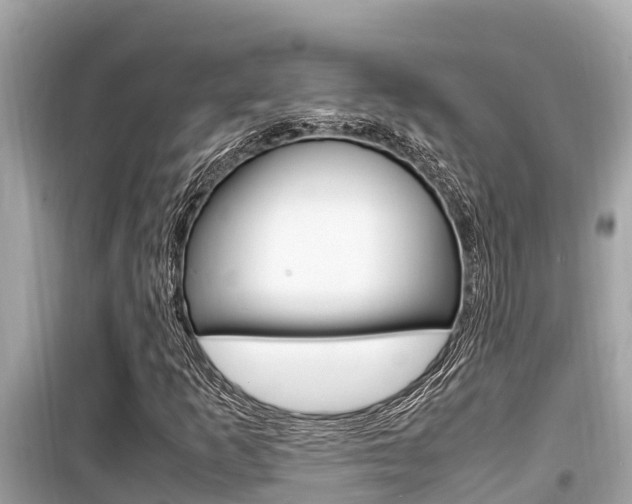 X0000099941253200805231013