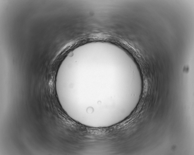 X0000099941254200805231013