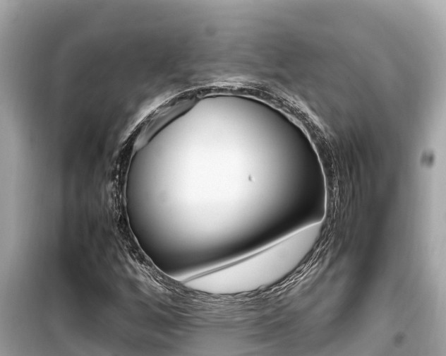 X0000099941256200805231013