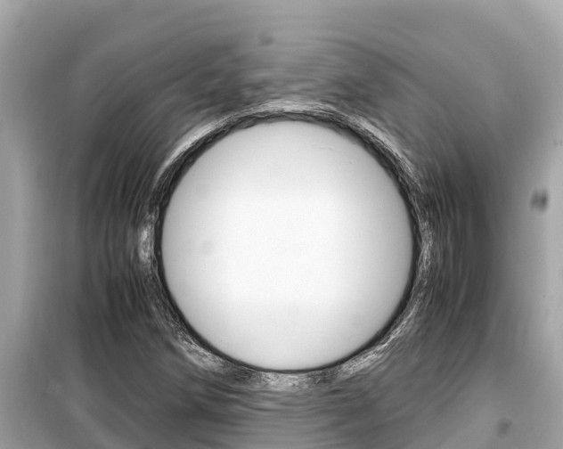 X0000099941258200805231013