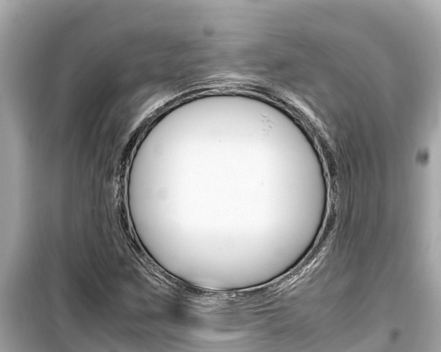 X0000099941259200805231013