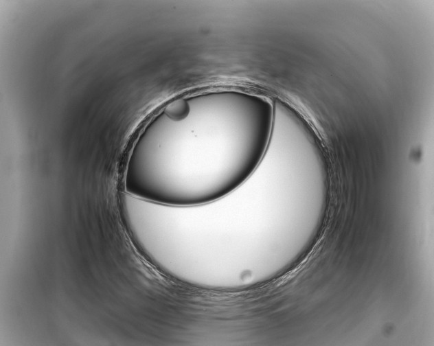 X0000099941260200805231013