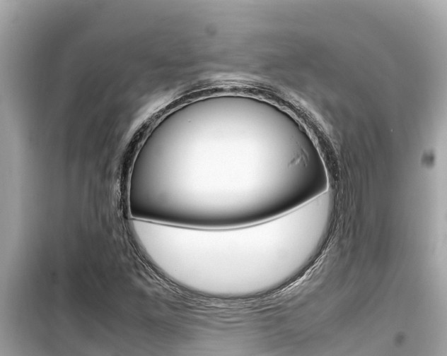 X0000099941261200805231013