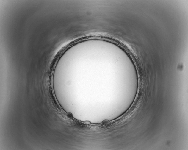 X0000099941263200805231013