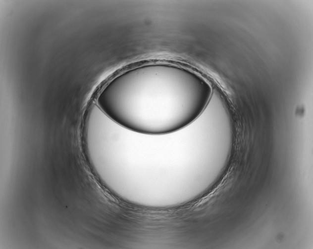 X0000099941264200805231013