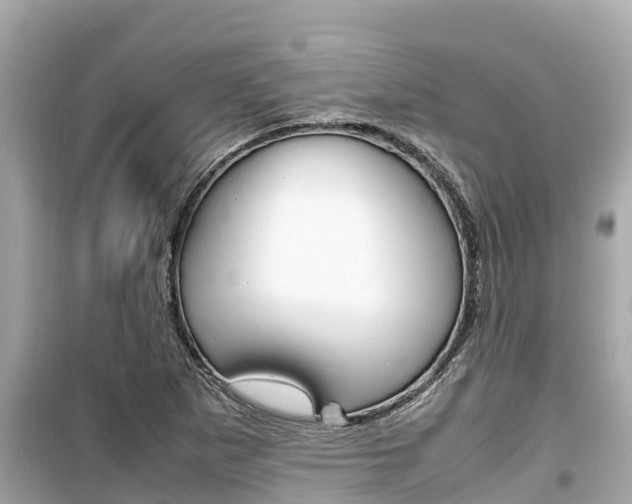 X0000099941265200805231013