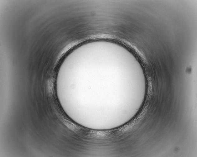 X0000099941266200805231013