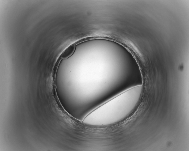 X0000099941268200805231013