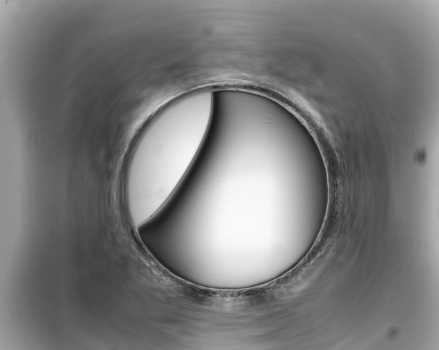 X0000099941269200805231013