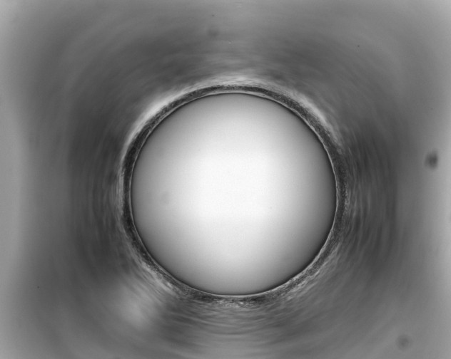 X0000099941270200805231013