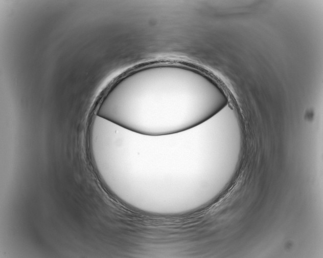 X0000099941271200805231013