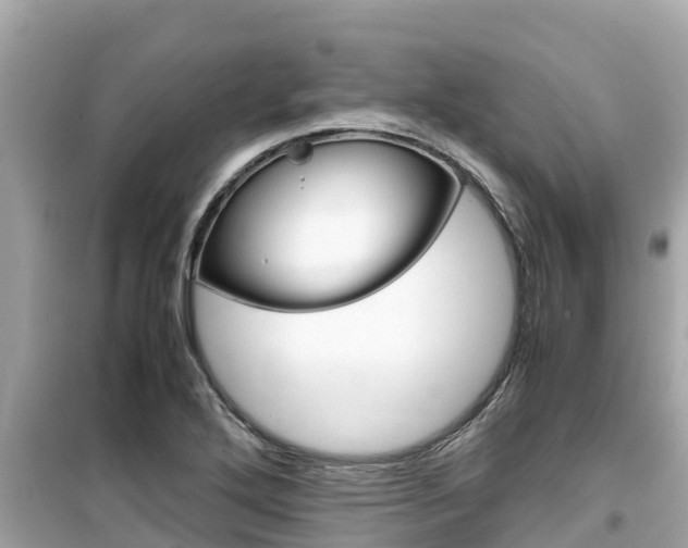 X0000099941272200805231013