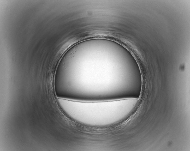 X0000099941273200805231013