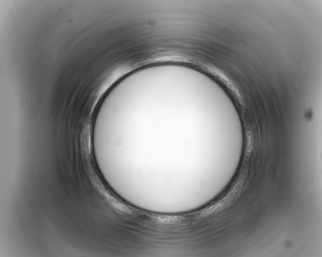 X0000099941274200805231013