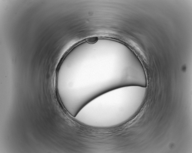 X0000099941275200805231013