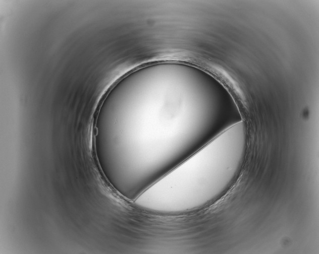 X0000099941276200805231013