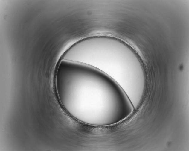 X0000099941277200805231013