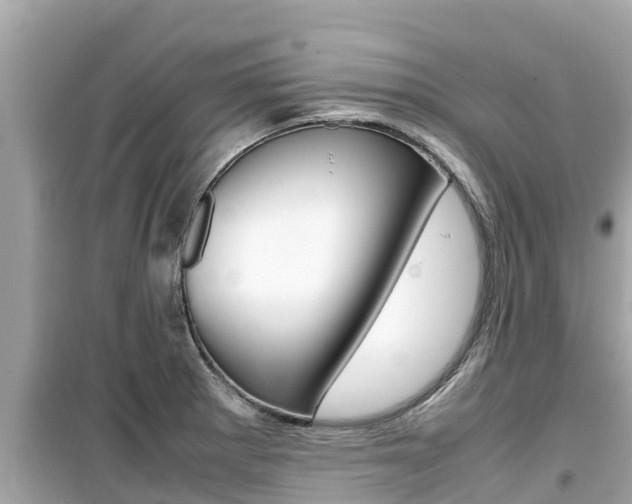 X0000099941281200805231013