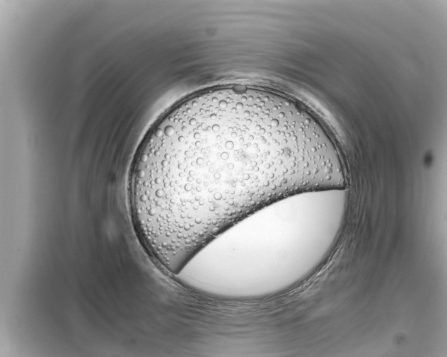 X0000099941283200805231013