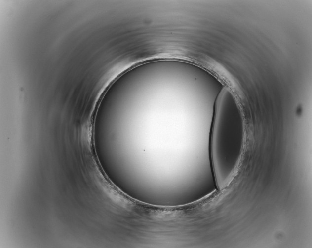 X0000099941284200805231013
