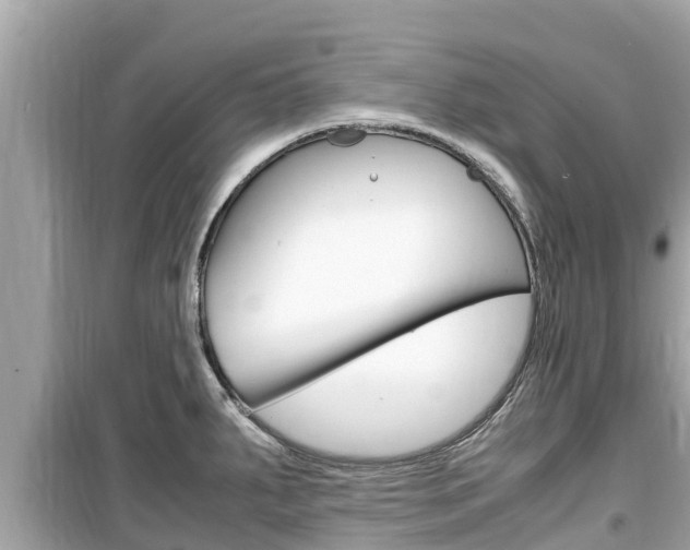 X0000099941287200805231013