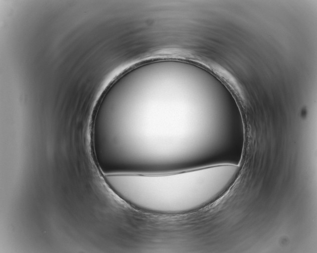 X0000099941288200805231013