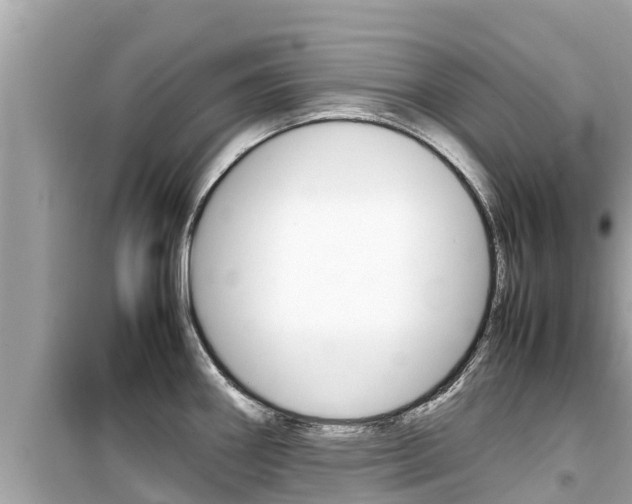 X0000099941290200805231013
