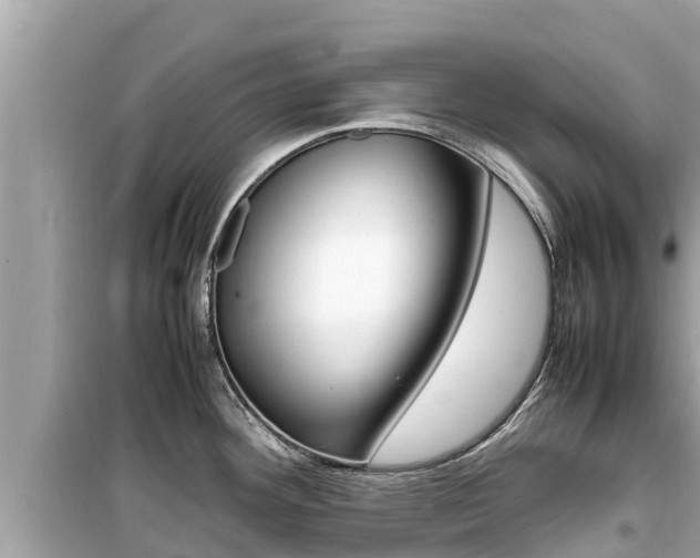 X0000099941292200805231013