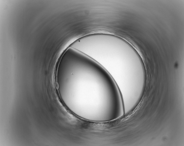 X0000099941293200805231013