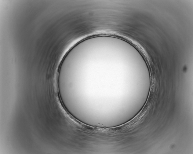X0000099941295200805231013