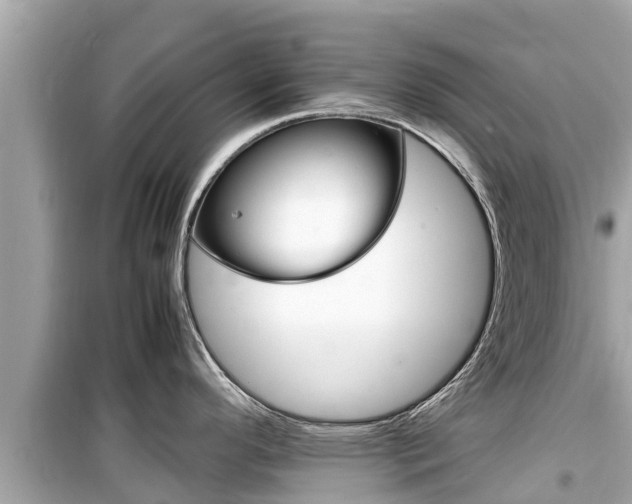 X0000099941296200805231013