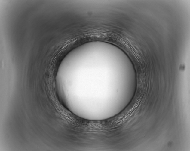 X0000099941297200805231012