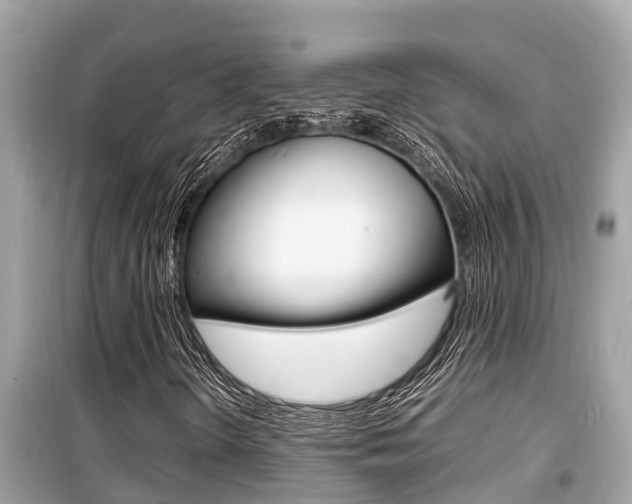 X0000099941298200805231012