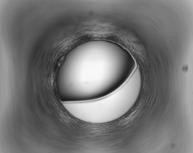 X0000099941300200805231012
