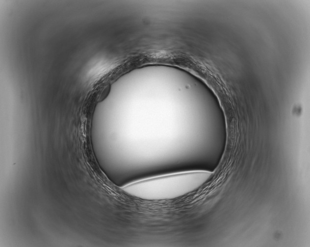 X0000099941301200805231012