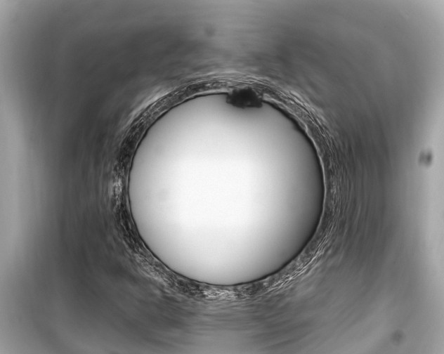 X0000099941302200805231012