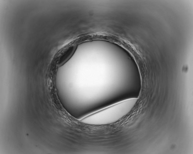 X0000099941303200805231012