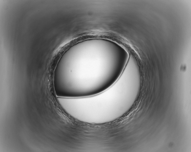 X0000099941304200805231012