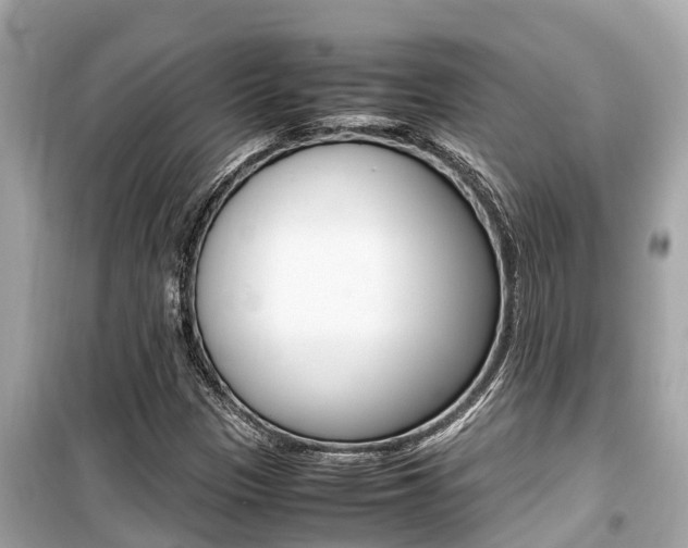 X0000099941305200805231012