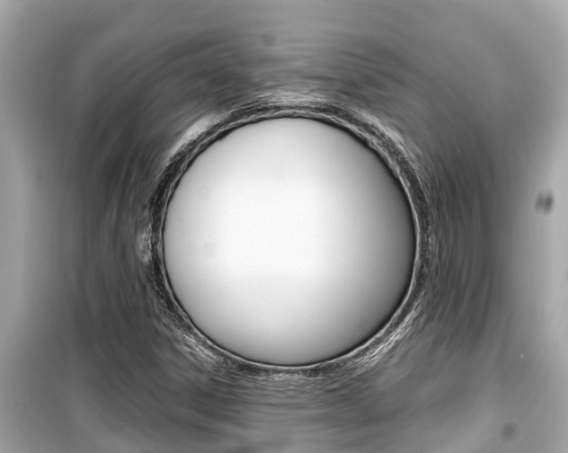 X0000099941306200805231012