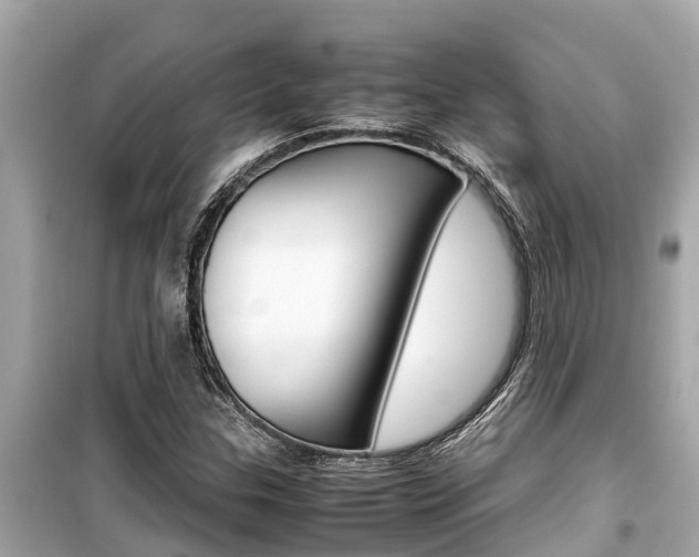X0000099941307200805231012