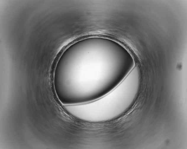 X0000099941308200805231012