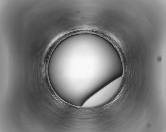 X0000099941310200805231012