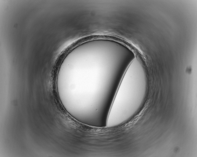 X0000099941311200805231012