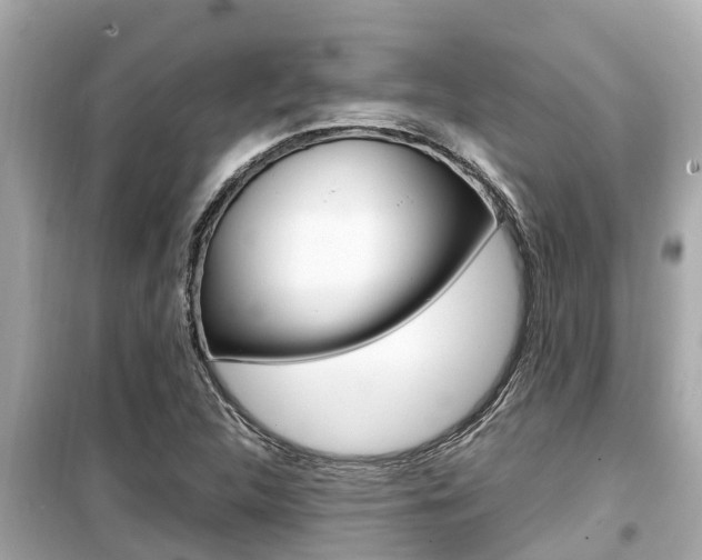 X0000099941312200805231012