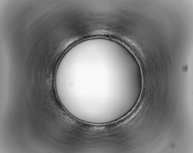 X0000099941313200805231012